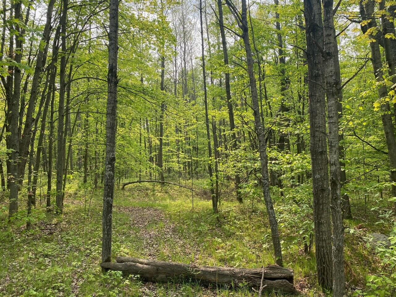 Basel Drive Reed City, MI 49677 - Photo 4 of 24 4