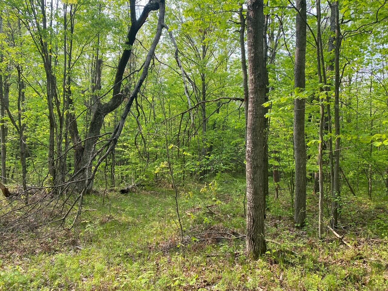 Basel Drive Reed City, MI 49677 - Photo 8 of 24 8