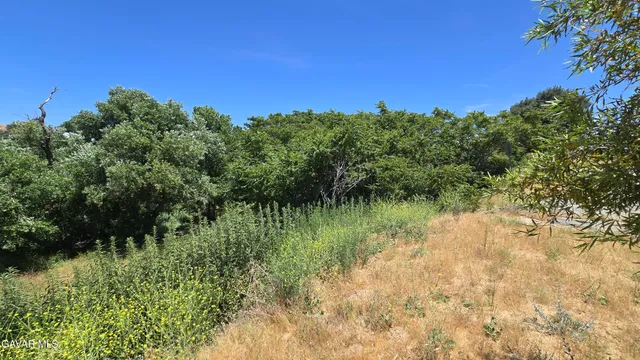 $29,500 | Rimford Dr Lake, Lake Elizabeth, CA 93532