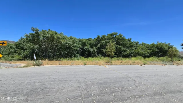 $29,500 | Rimford Dr Lake, Lake Elizabeth, CA 93532