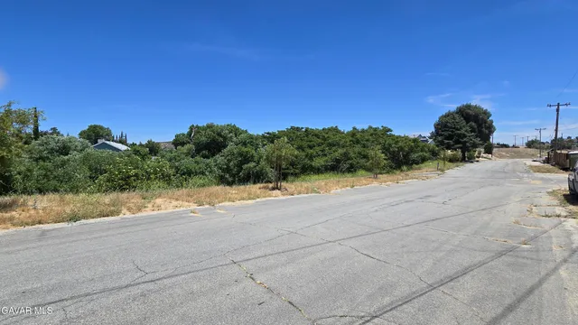 $29,500 | Rimford Dr Lake, Lake Elizabeth, CA 93532