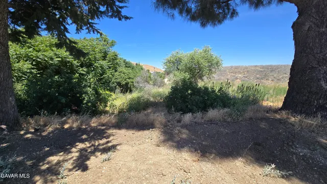 $29,500 | Rimford Dr Lake, Lake Elizabeth, CA 93532