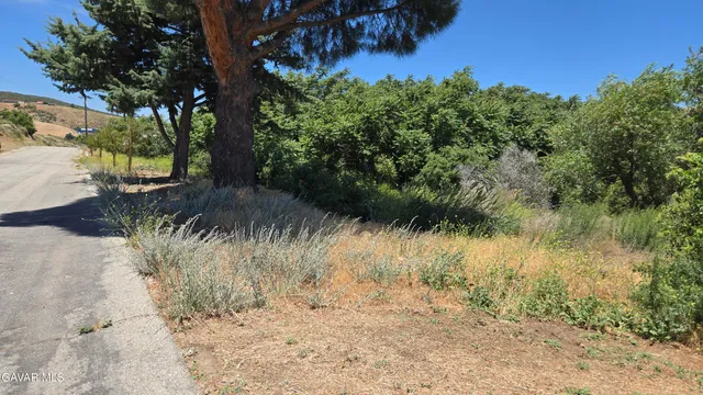 $29,500 | Rimford Dr Lake, Lake Elizabeth, CA 93532