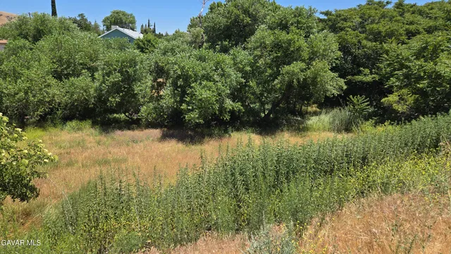 $29,500 | Rimford Dr Lake, Lake Elizabeth, CA 93532