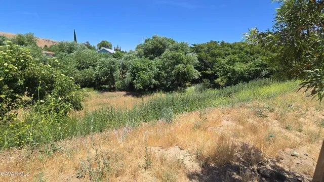 $29,500 | Rimford Dr Lake, Lake Elizabeth, CA 93532