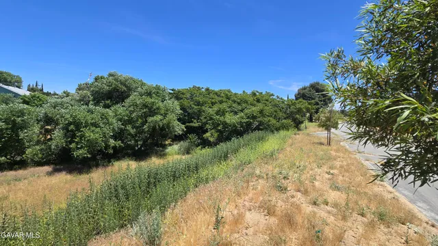 $29,500 | Rimford Dr Lake, Lake Elizabeth, CA 93532