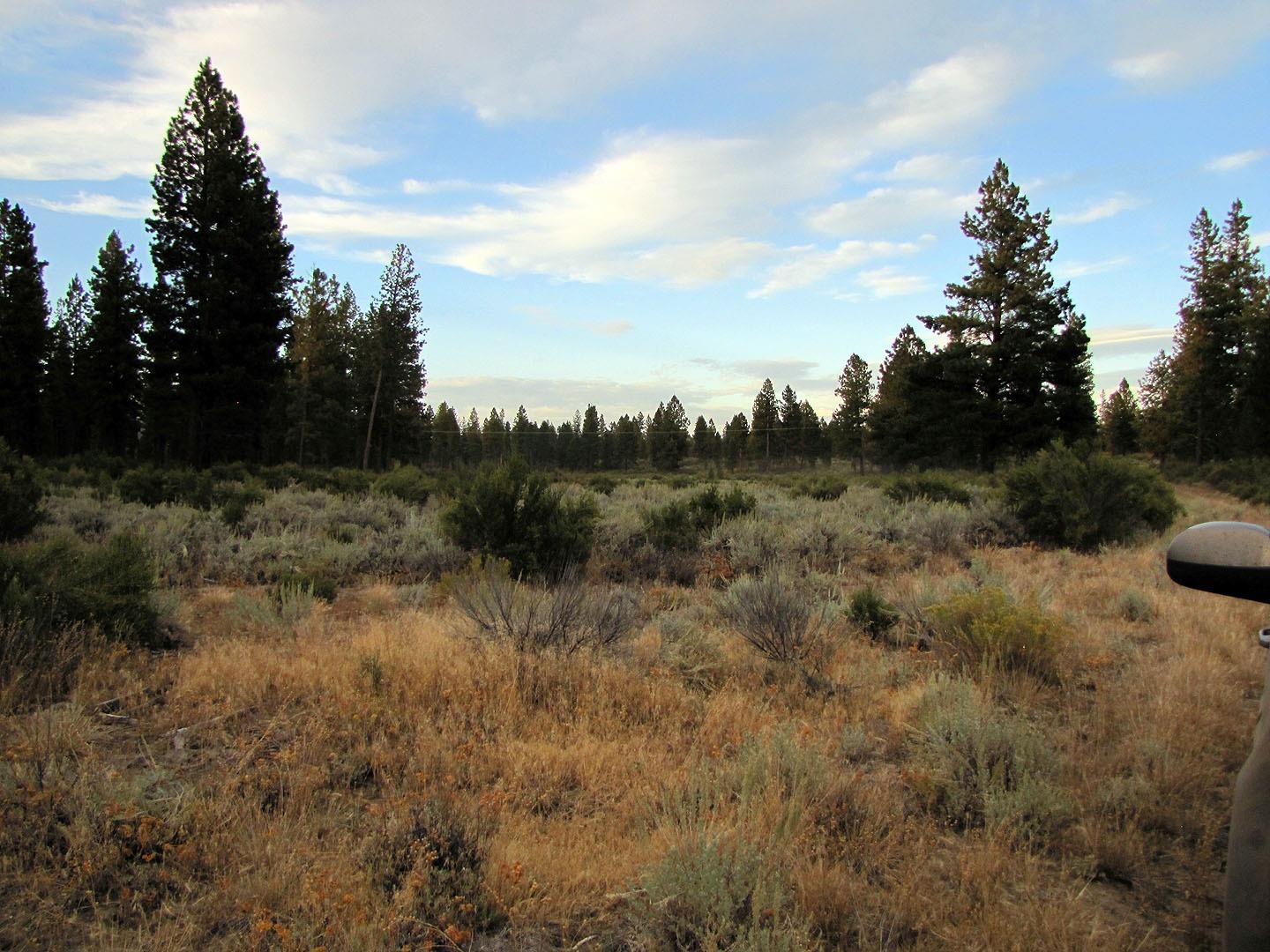 0 Sprague River Road Chiloquin, OR 97624 - Photo 1 of 15 Primary Photo