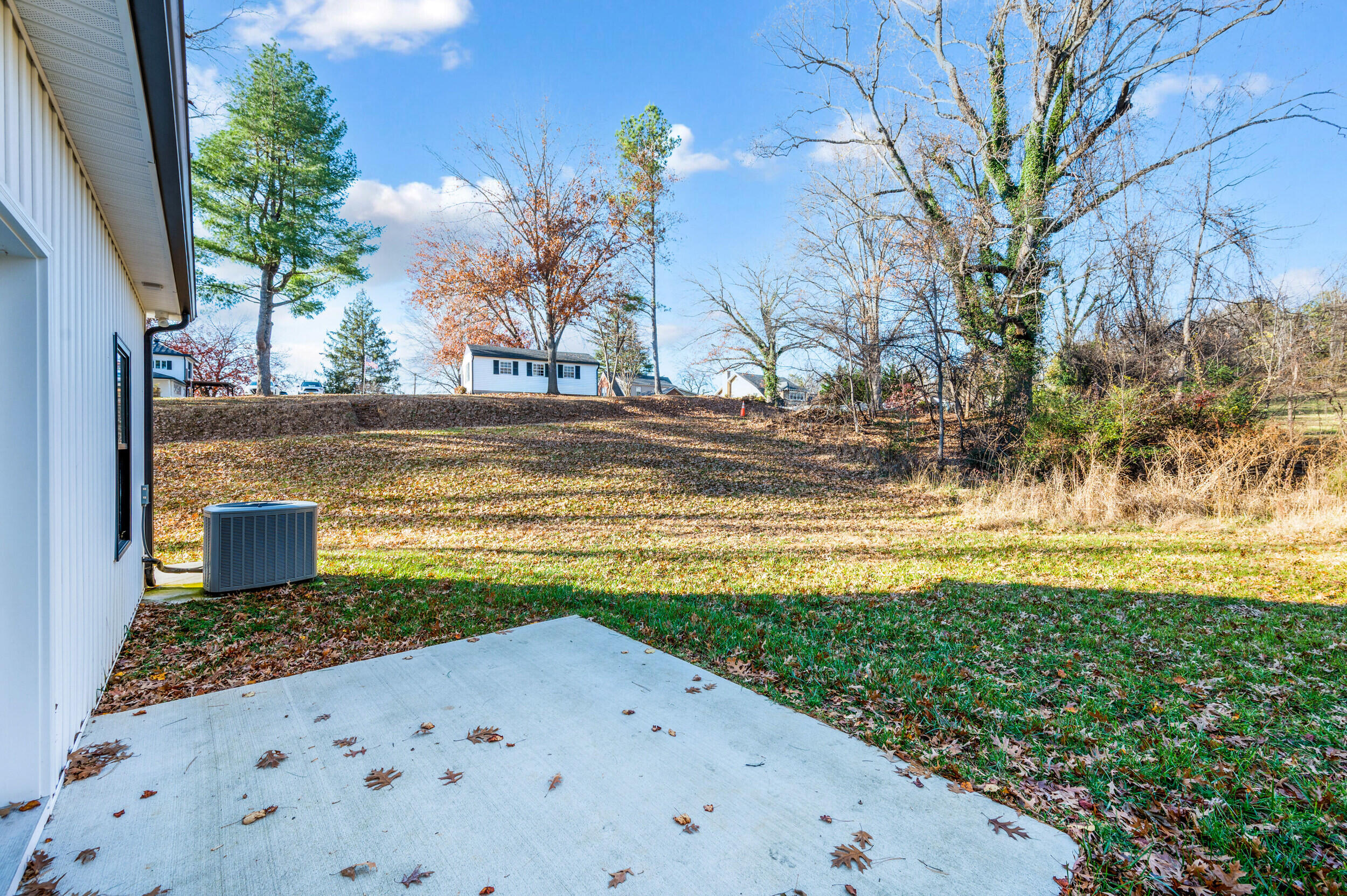 520 Raflo Place Avenue Bedford, VA 24523 - Photo 7 of 54 a view of a yard with an outdoor space