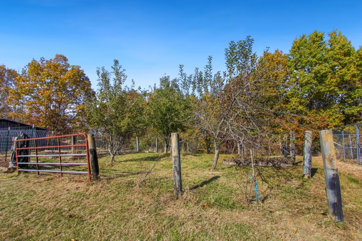 1444 Fairview Road Lawrenceburg, KY 40342 - Photo 34 of 34 Orchard (Medium)