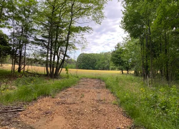 a view of backyard with green space