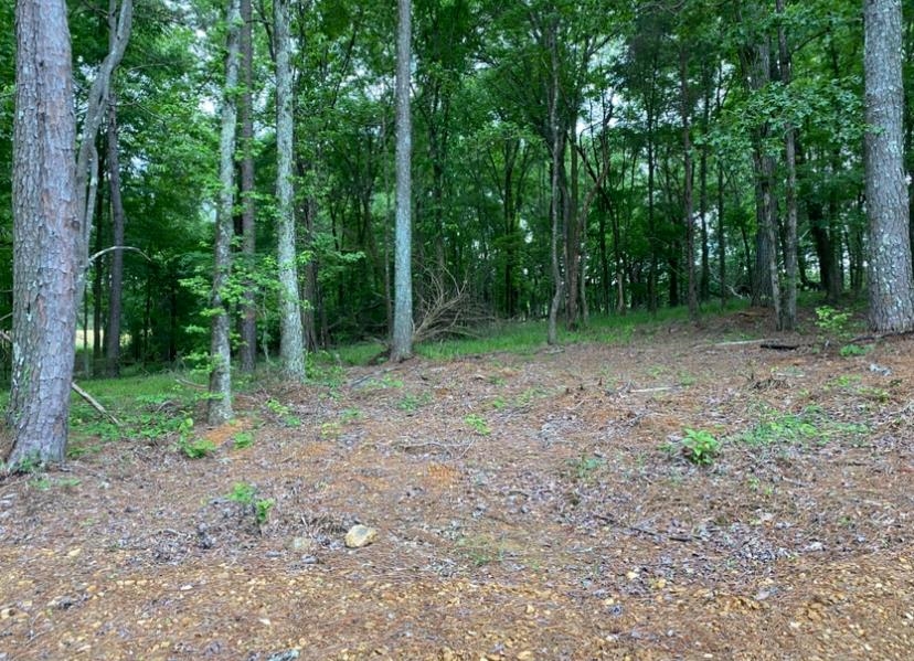 330 Lick Creek Road Michie, TN 38357 - Photo 11 of 23