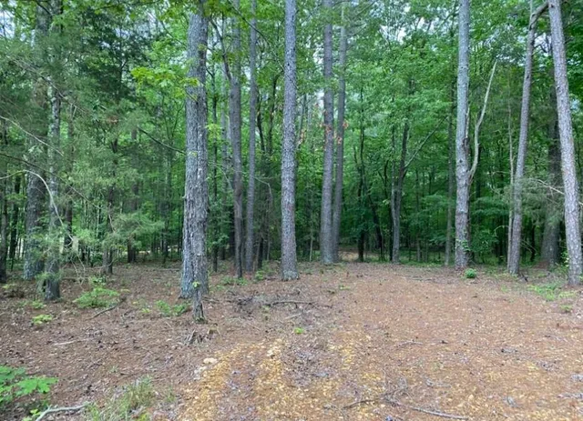 $100,000 | 330 Lick Creek Road, Michie, TN 38357