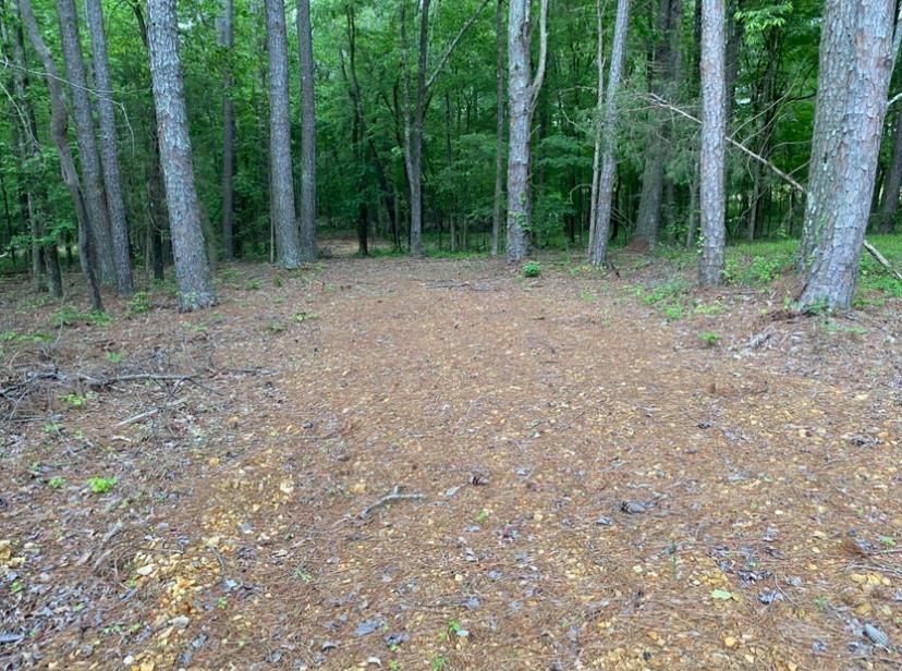 330 Lick Creek Road Michie, TN 38357 - Photo 14 of 23