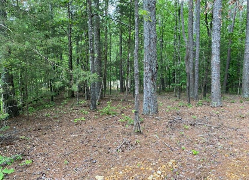 330 Lick Creek Road Michie, TN 38357 - Photo 15 of 23