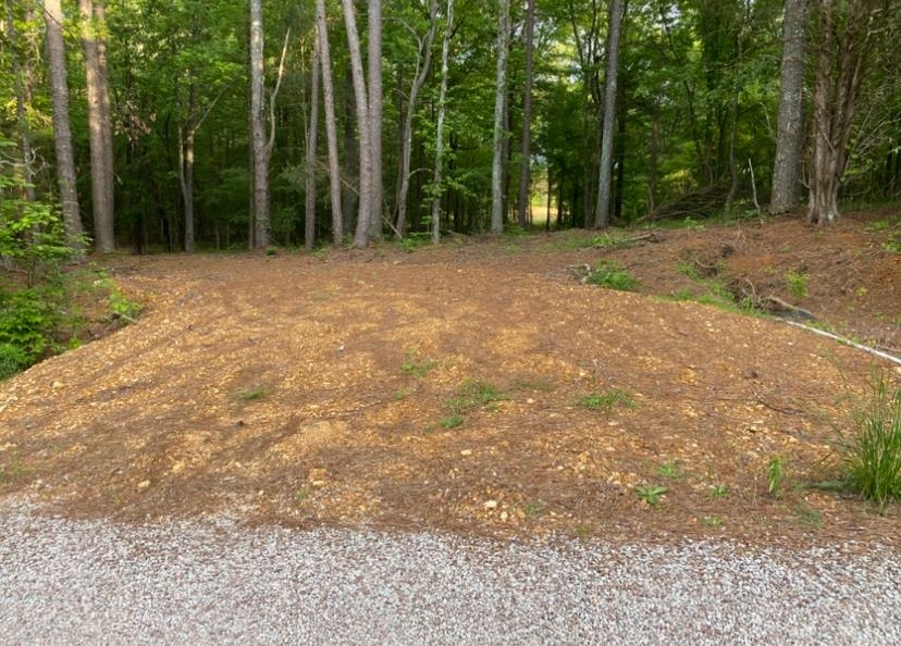 330 Lick Creek Road Michie, TN 38357 - Photo 16 of 23