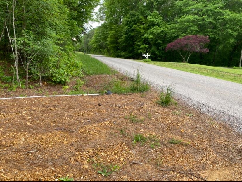 330 Lick Creek Road Michie, TN 38357 - Photo 19 of 23