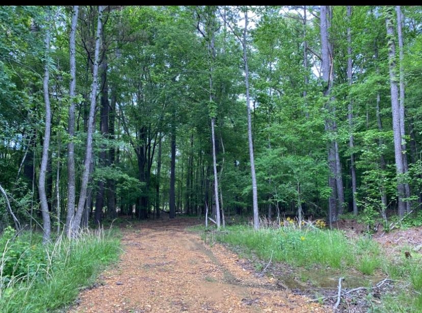 330 Lick Creek Road Michie, TN 38357 - Photo 2 of 23 a view of backyard with green space