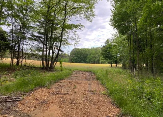 $100,000 | 330 Lick Creek Road, Michie, TN 38357