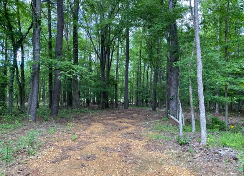 330 Lick Creek Road Michie, TN 38357 - Photo 6 of 23