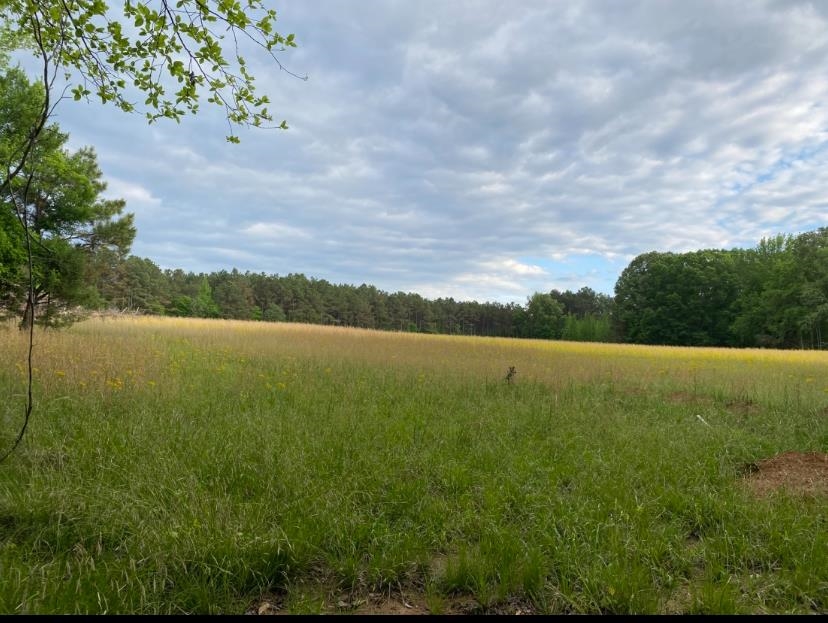 330 Lick Creek Road Michie, TN 38357 - Photo 7 of 23 a view of lake with green space