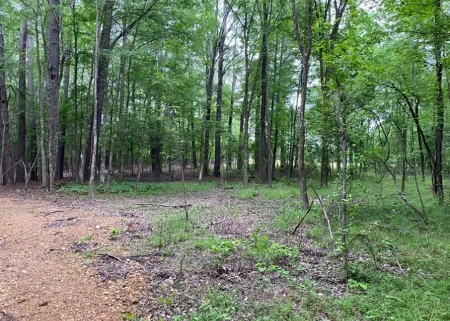 $100,000 | 330 Lick Creek Road, Michie, TN 38357