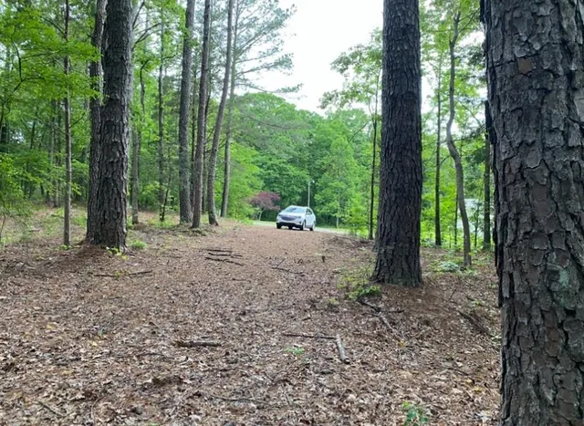 $100,000 | 330 Lick Creek Road, Michie, TN 38357