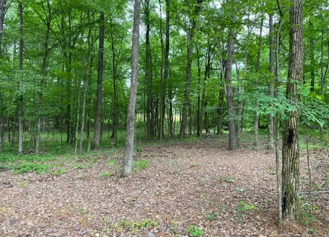 $100,000 | 330 Lick Creek Road, Michie, TN 38357