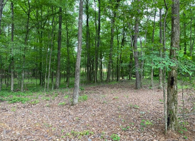 330 Lick Creek Road Michie, TN 38357 - Photo 10 of 23