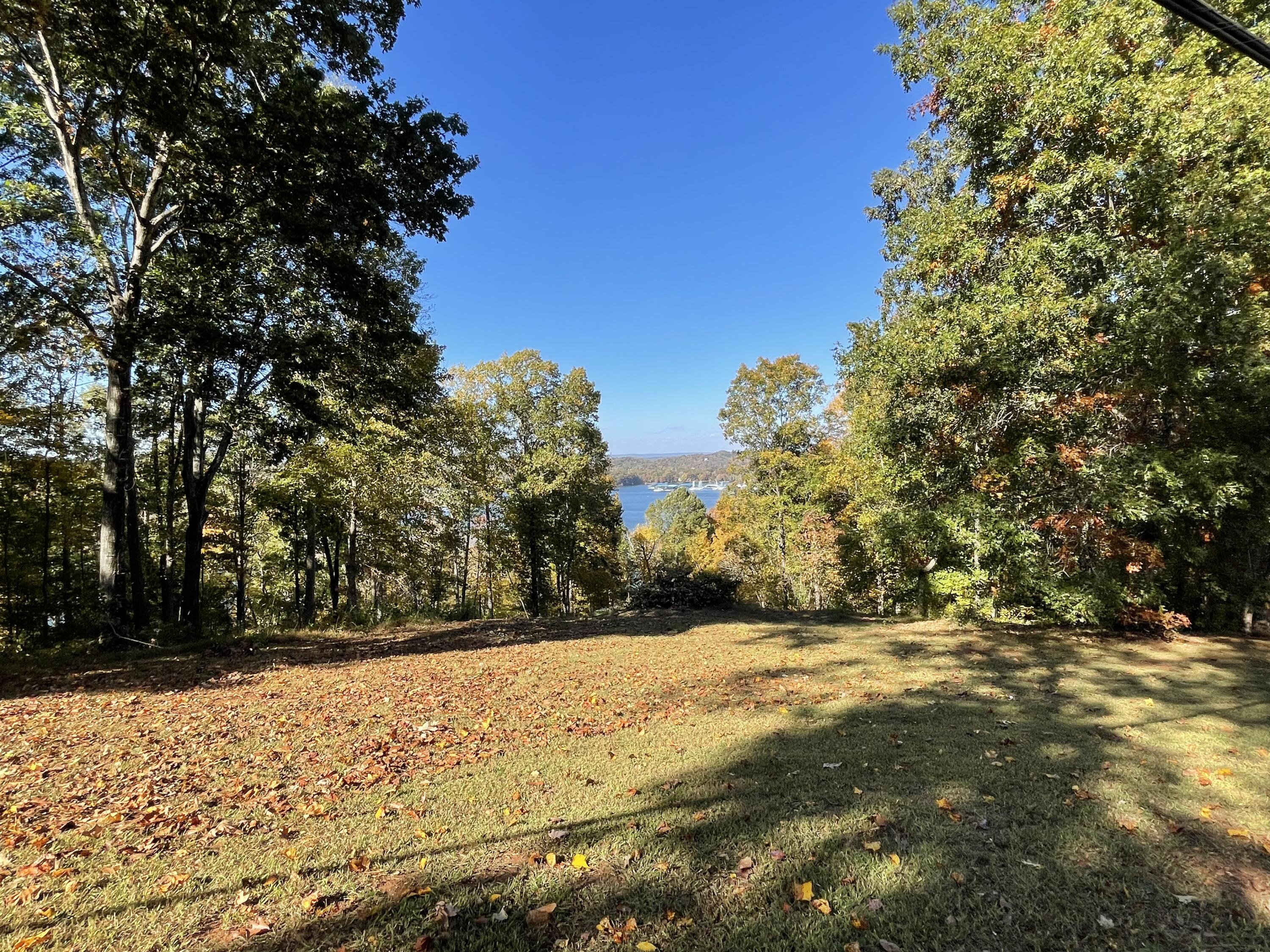 136 Hillview Road Ten Mile, TN 37880 - Photo 37 of 58 IMG_6271