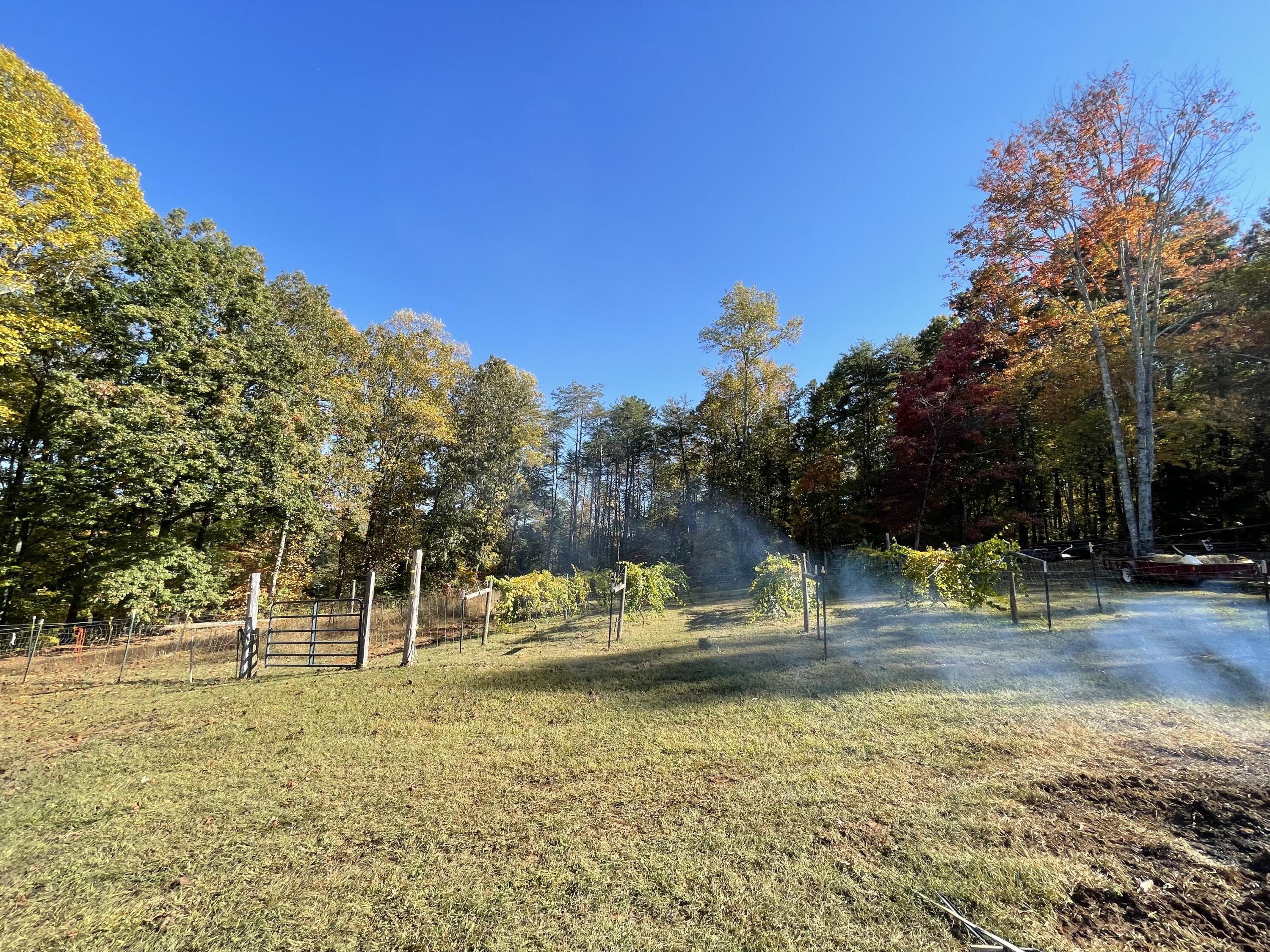 136 Hillview Road Ten Mile, TN 37880 - Photo 39 of 58 IMG_6268