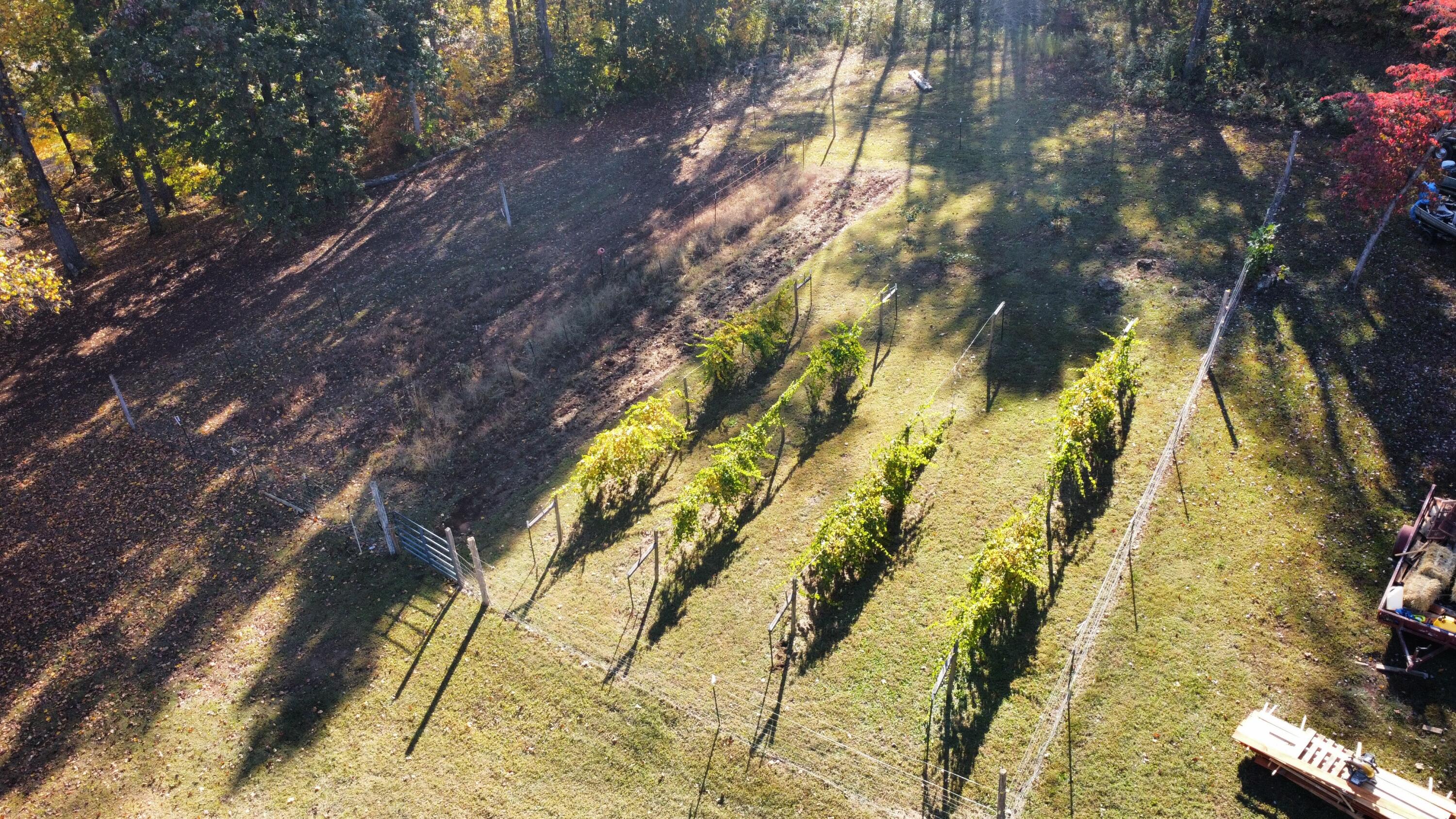 136 Hillview Road Ten Mile, TN 37880 - Photo 53 of 58 dji_fly_20221018_100844_29_1666103906368