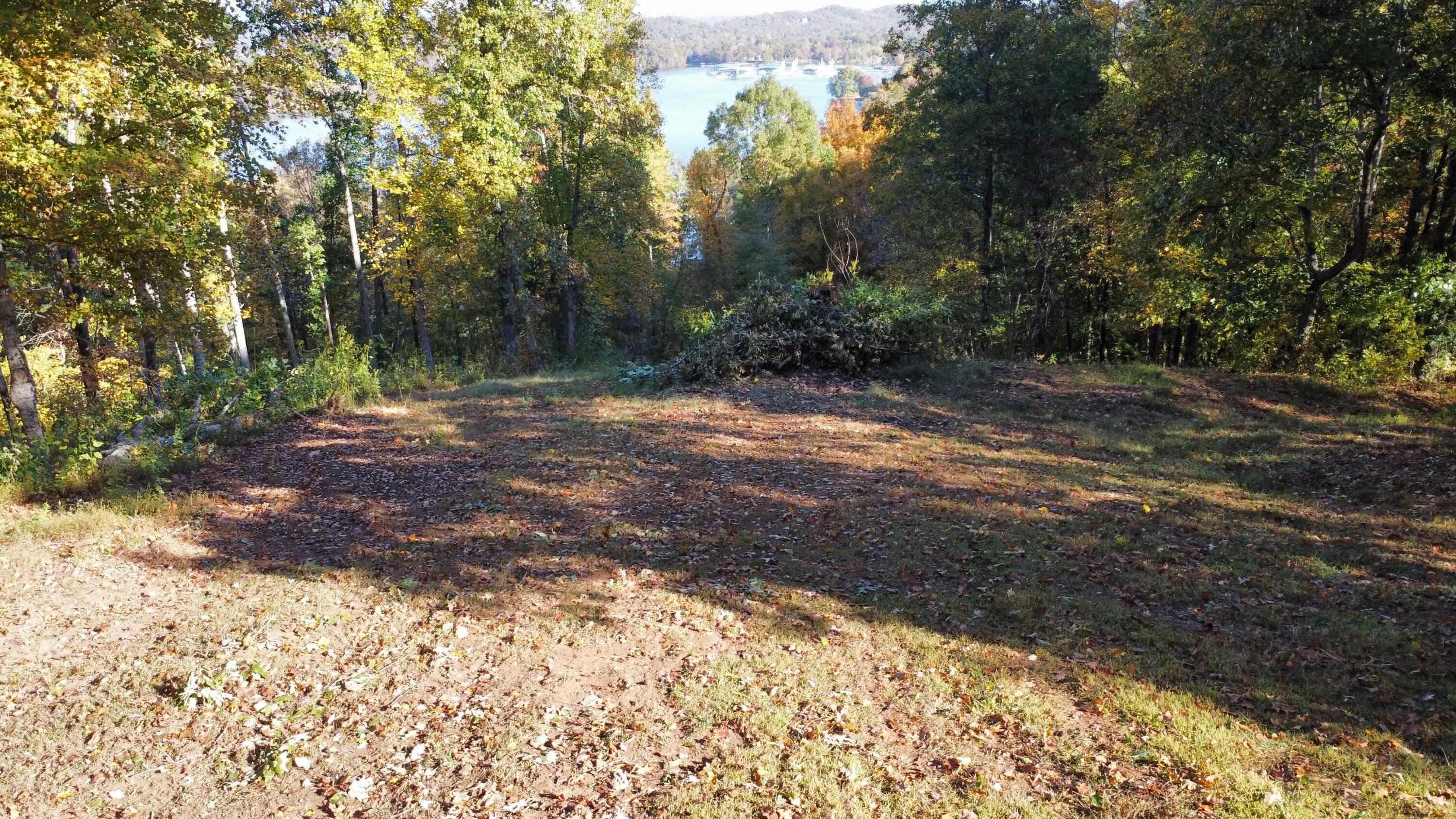 136 Hillview Road Ten Mile, TN 37880 - Photo 56 of 58 dji_fly_20221018_101240_35_1666104189409