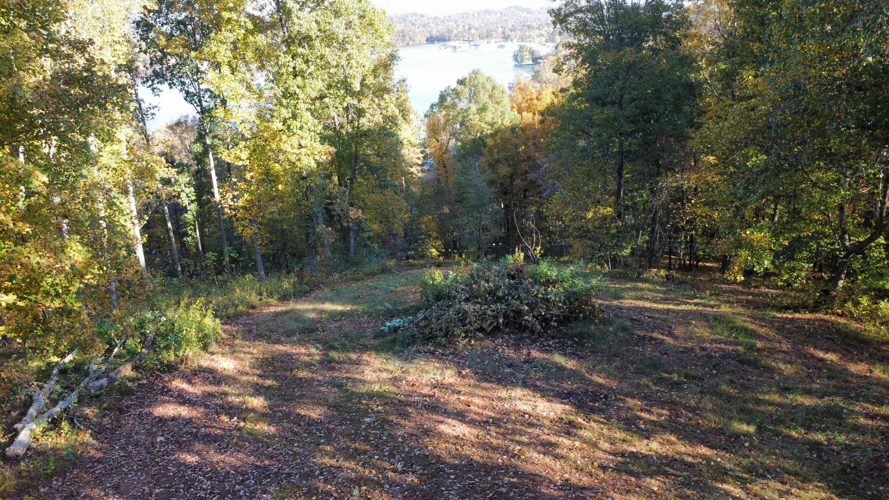 136 Hillview Road Ten Mile, TN 37880 - Photo 57 of 58 dji_fly_20221018_101252_36_1666104204662