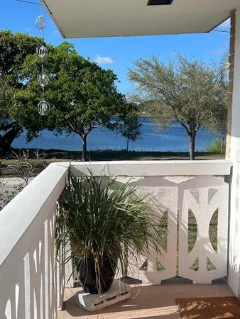 a view of a pathway with a tree