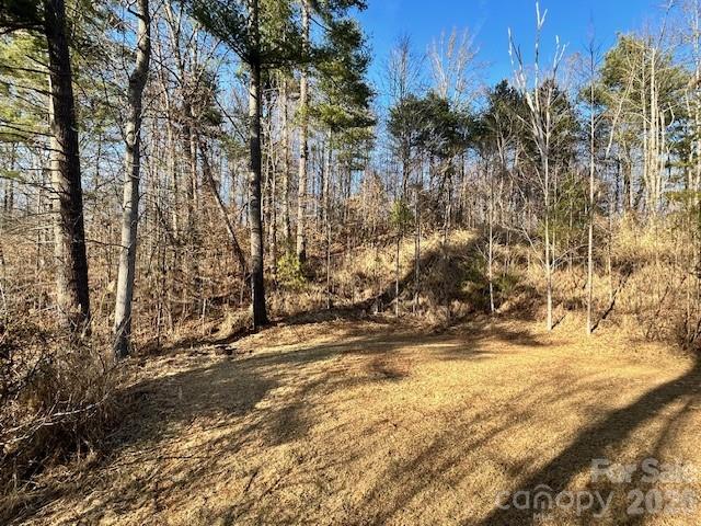 45 Marshbanks Ridge Weaverville, NC 28787 - Photo 12 of 36