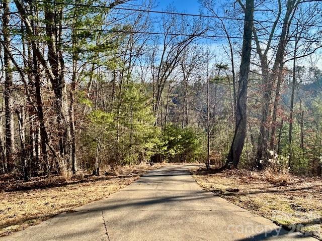 45 Marshbanks Ridge Weaverville, NC 28787 - Photo 2 of 36 a view of a backyard of the house