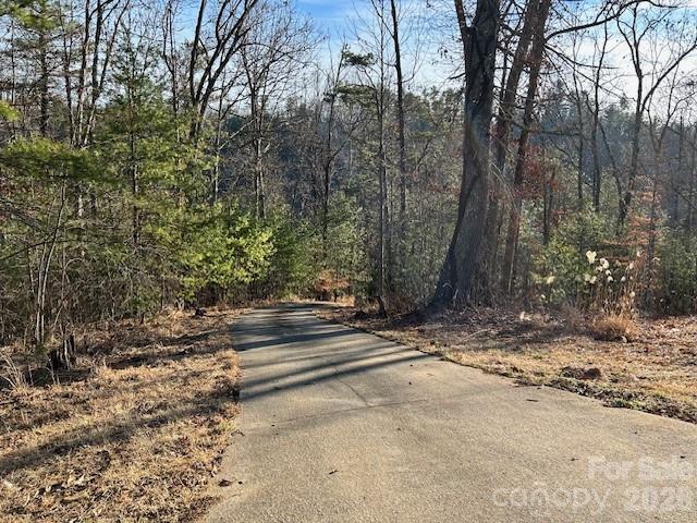 45 Marshbanks Ridge Weaverville, NC 28787 - Photo 34 of 36 a view of a yard with large trees