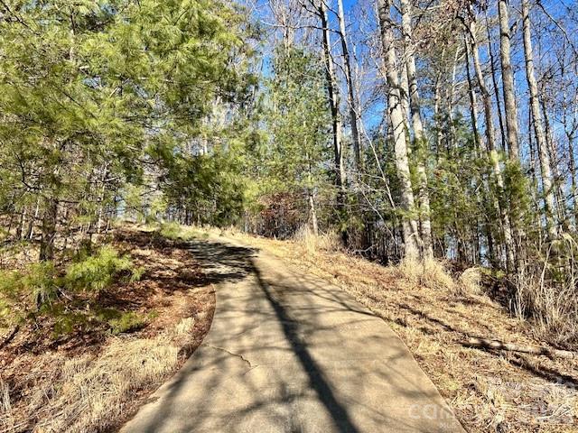 45 Marshbanks Ridge Weaverville, NC 28787 - Photo 35 of 36 a view of a yard with a tree