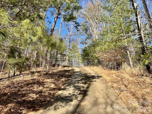 45 Marshbanks Ridge Weaverville, NC 28787 - Photo 36 of 36 a view of a yard with a tree