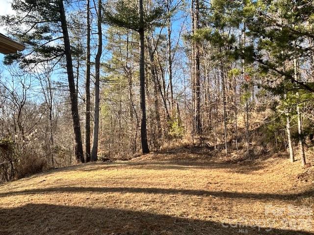 45 Marshbanks Ridge Weaverville, NC 28787 - Photo 4 of 36 a view of a backyard of the house