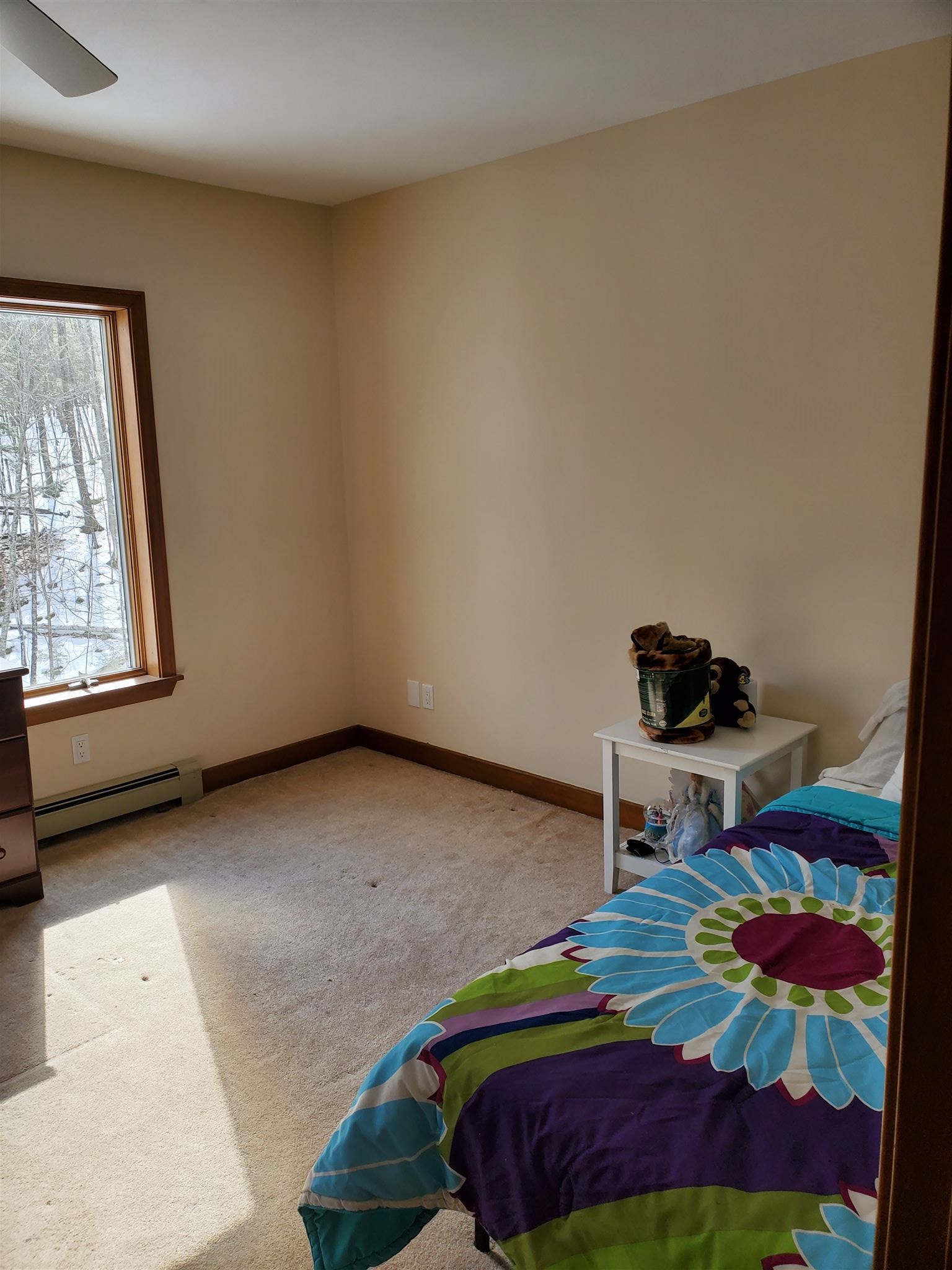 31 Quaker Road New Durham, NH 03855 - Photo 12 of 18
