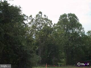58 Heyburn Road Chadds Ford, PA 19317 - Photo 3 of 6 Gallery Image 3