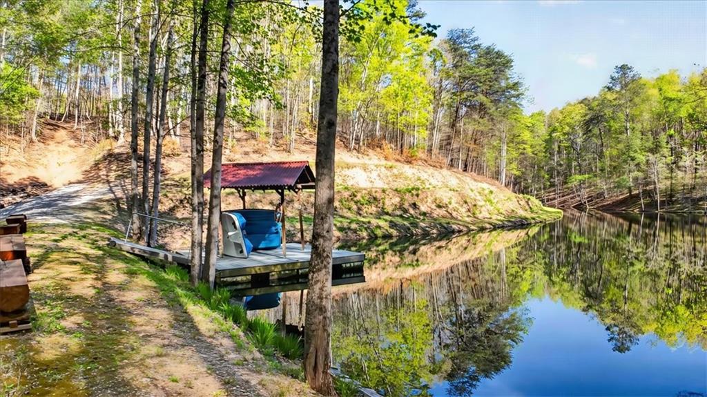 7433 Nicklesville Road Ranger, GA 30734 - Photo 43 of 56 Gallery Image 43