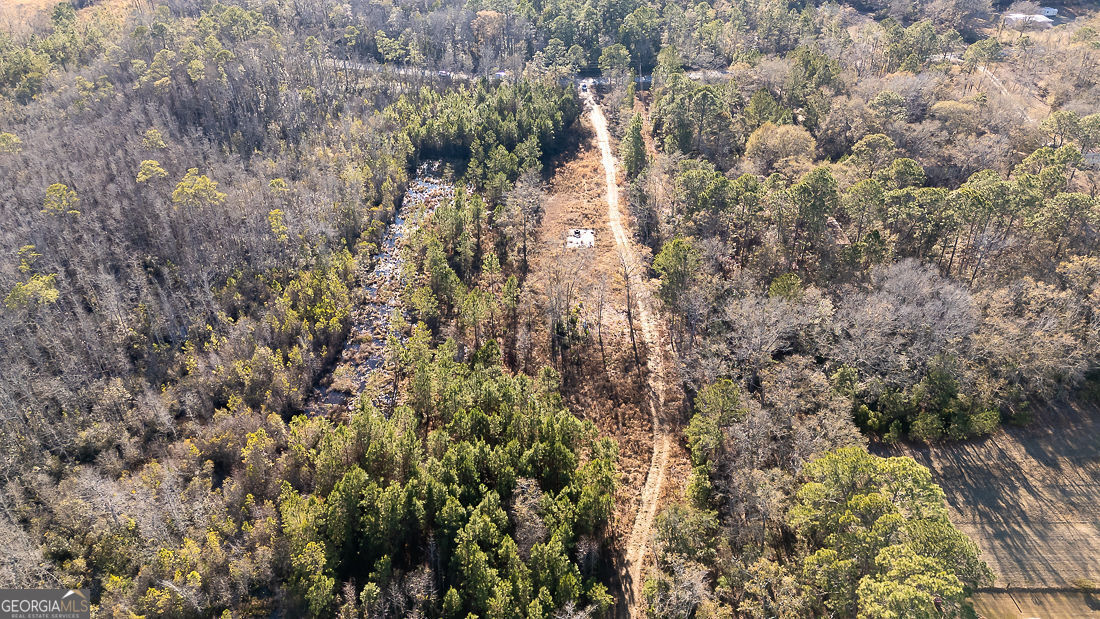 297 Horsepen Road Rincon, GA 31326 - Photo 11 of 13 a view of a forest with a tree