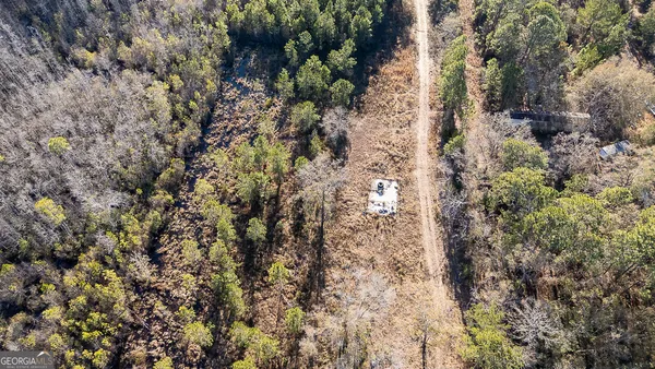 a view of a house with a lush green forest