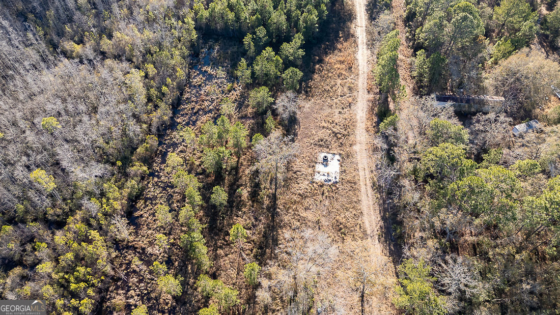 297 Horsepen Road Rincon, GA 31326 - Photo 12 of 13 a view of a house with a lush green forest