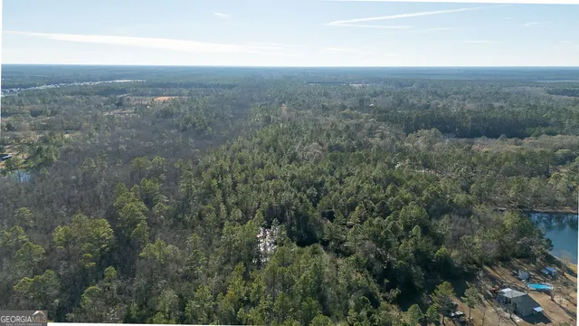 a view of a dry yard with green space and fog