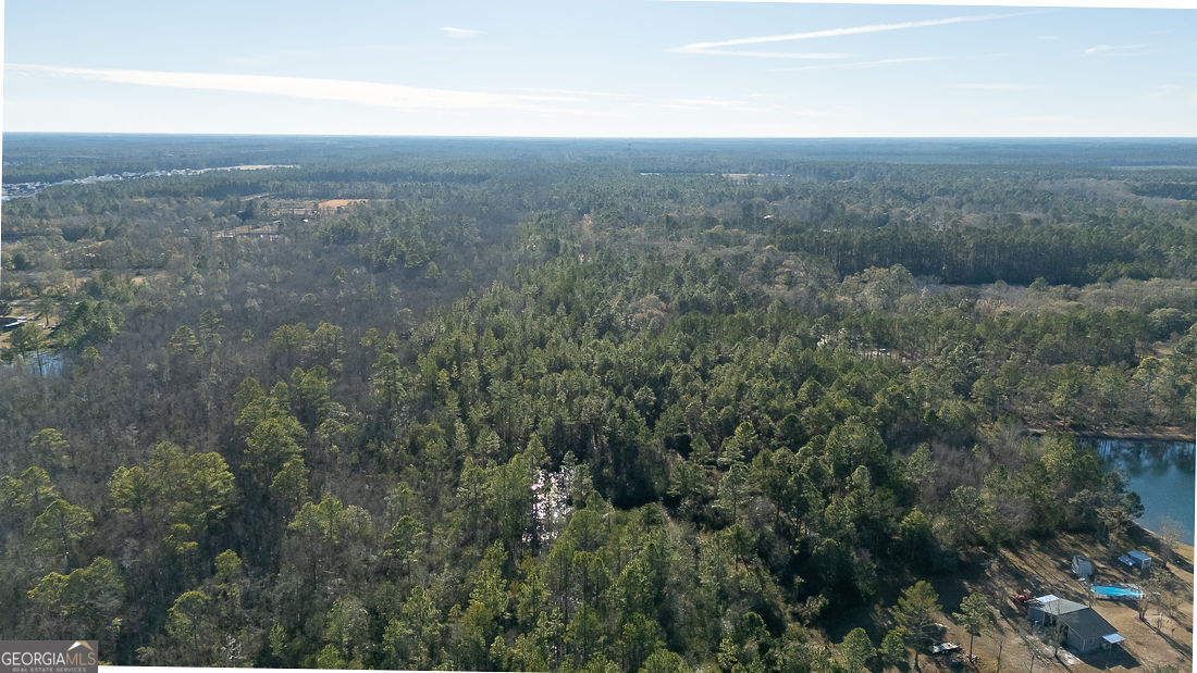297 Horsepen Road Rincon, GA 31326 - Photo 3 of 13 a view of a dry yard with green space and fog