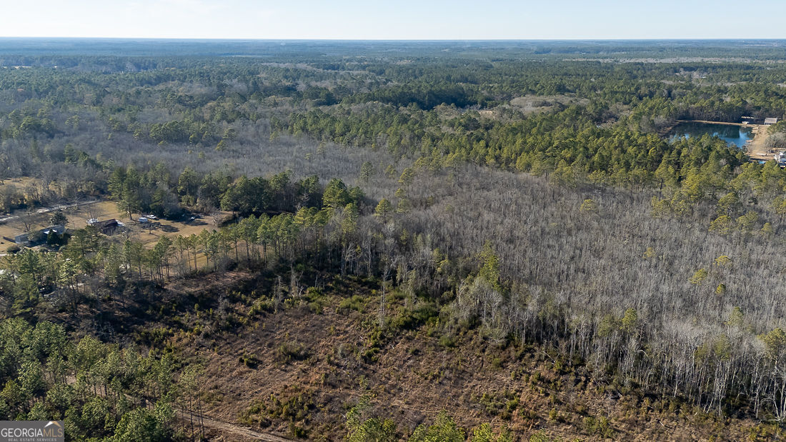 297 Horsepen Road Rincon, GA 31326 - Photo 5 of 13 a view of a valley