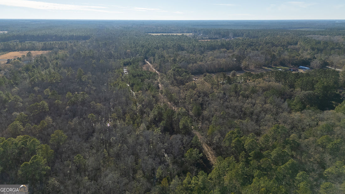 297 Horsepen Road Rincon, GA 31326 - Photo 6 of 13 a view of a field